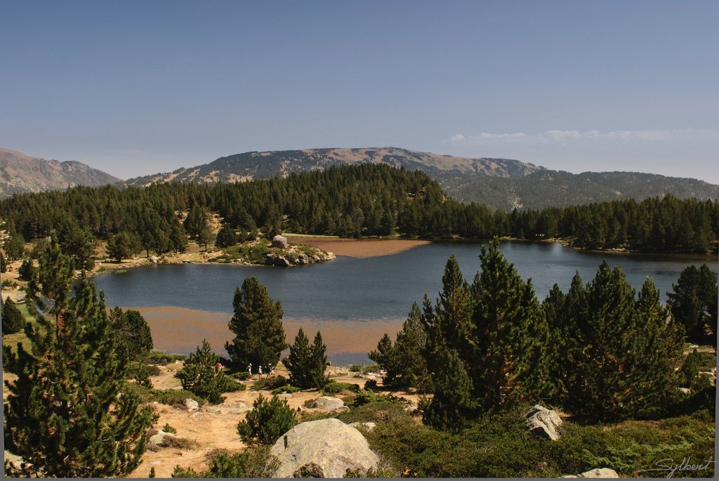 _GIL3631 m.JPG - Estany del viver